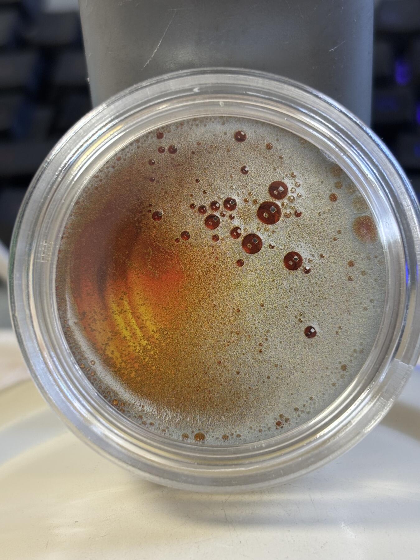 第184期拍卖 喀麦隆2022年皮尔森啤酒1盎司彩色精制纪念银币，999银，1盎司，