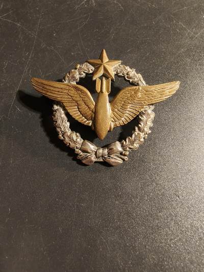 老王徽章第167期 - 法国空军投弹手证章