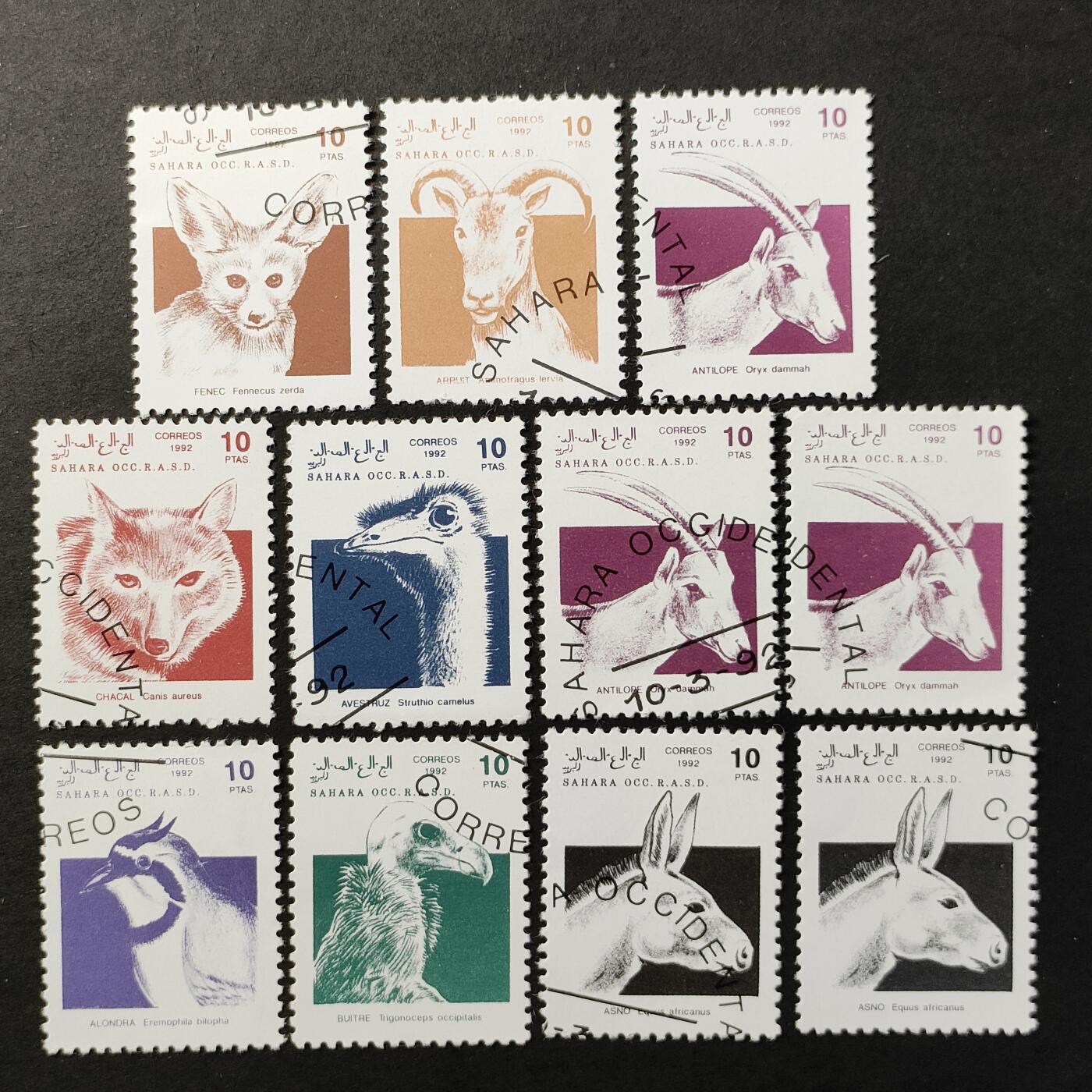 ↓君缘收藏667期☞钱币邮品↓无佣金、可寄存、满30元包邮  撒哈拉邮票，1992年动物邮票一组
