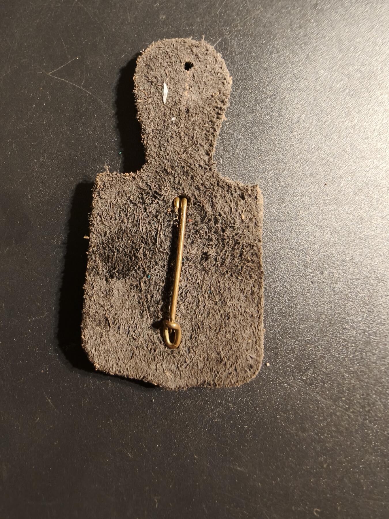 老王徽章第167期 法国第41铁路运输团团部证章