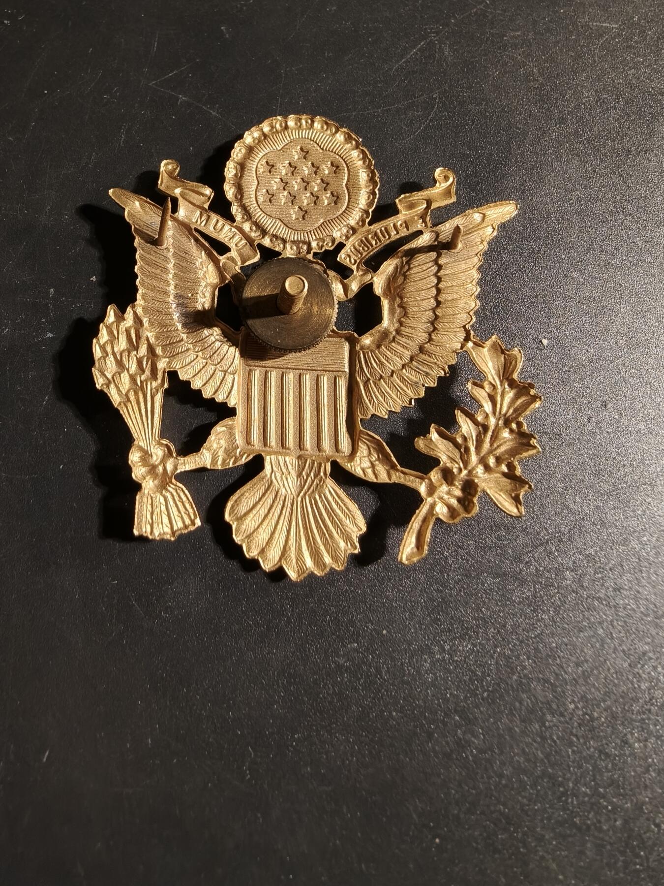 老王徽章第167期 美国陆军军官大檐帽帽徽