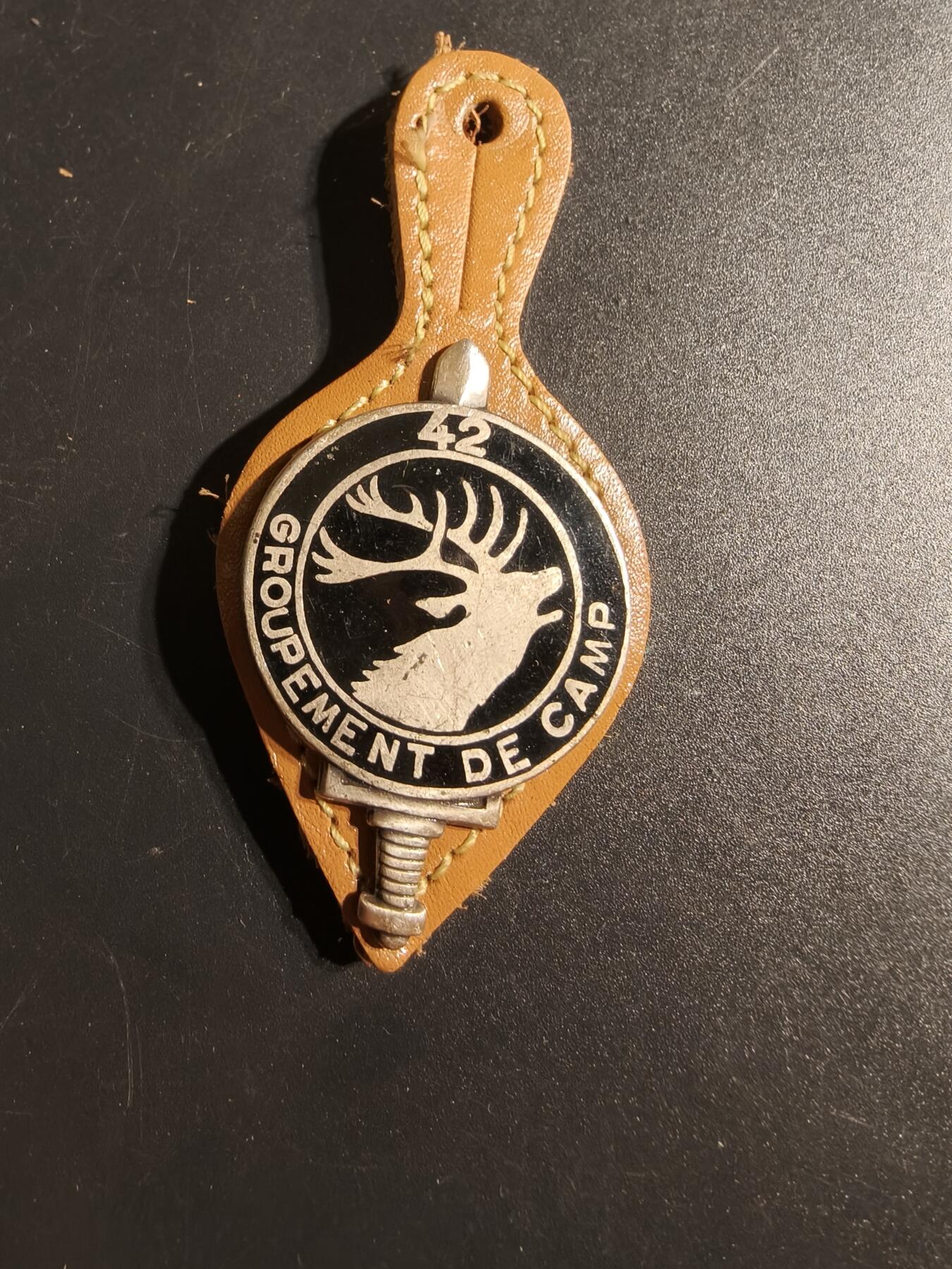 老王徽章第167期 法国第42野营连证章