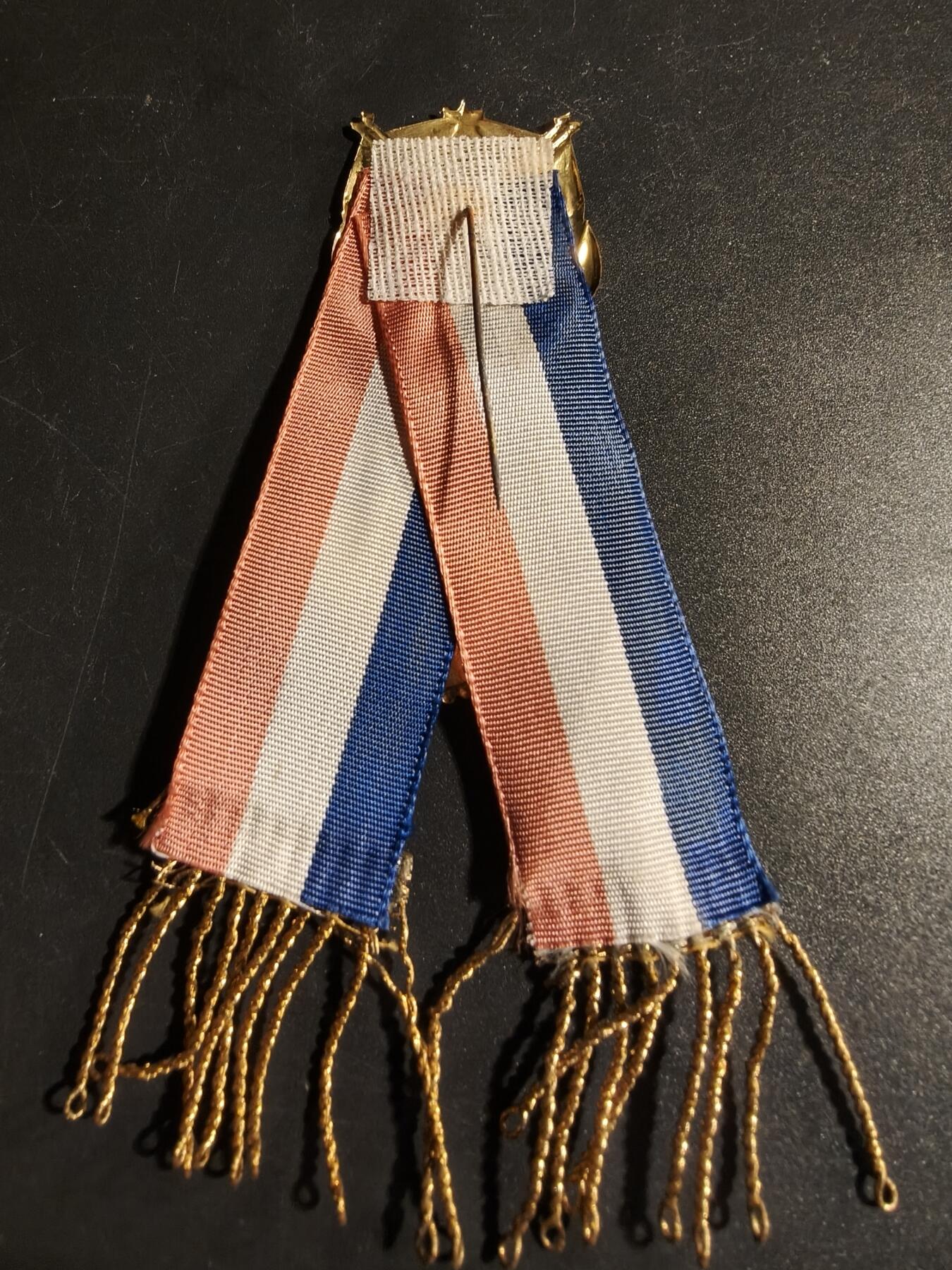 老王徽章第167期 法国兵役审查委员会针插