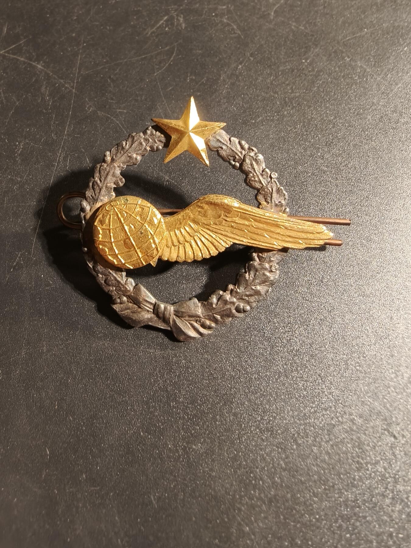 老王徽章第167期 法国空军领航员学员证章