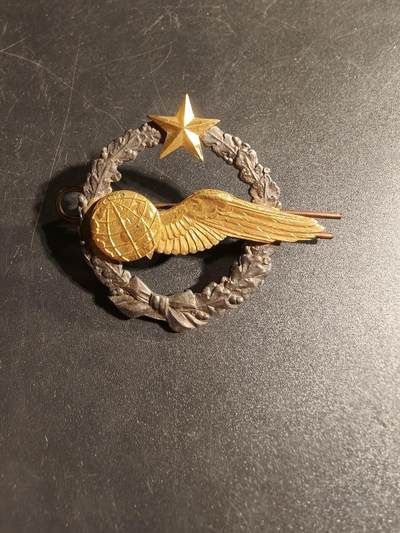 老王徽章第167期 - 法国空军领航员学员证章