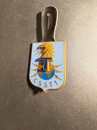 老王徽章第167期 - 法国通信兵第1团训练中心证章