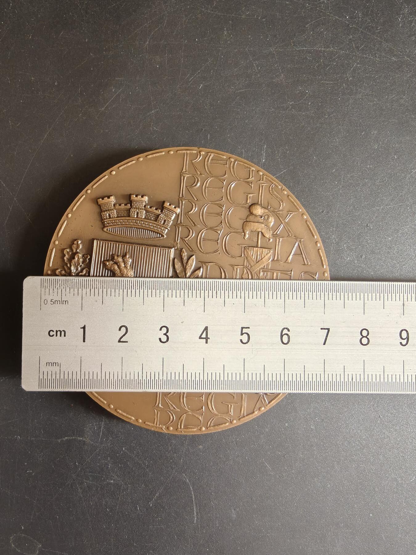 老王徽章第167期 法国Ris-Orangis市家庭大铜章     直径72mm.    重量161.8g