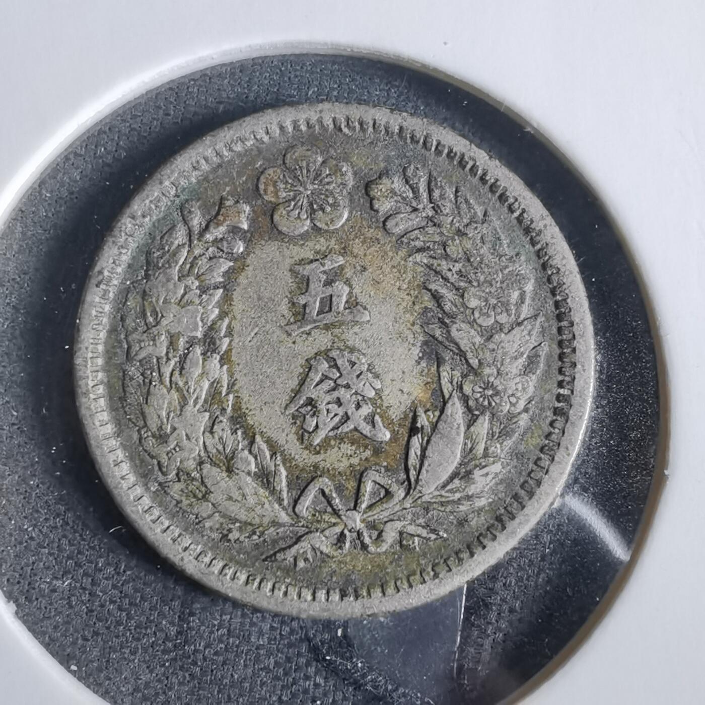 沼泽如烟--第919场