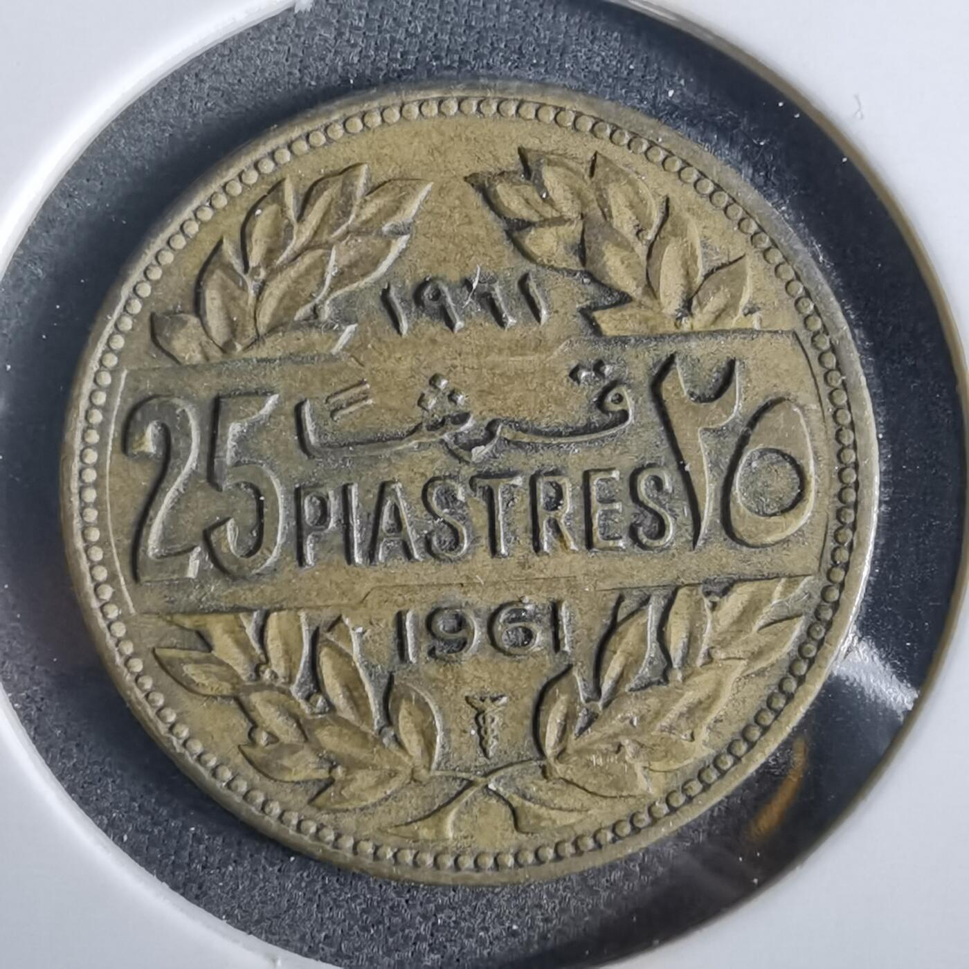 沼泽如烟--第919场