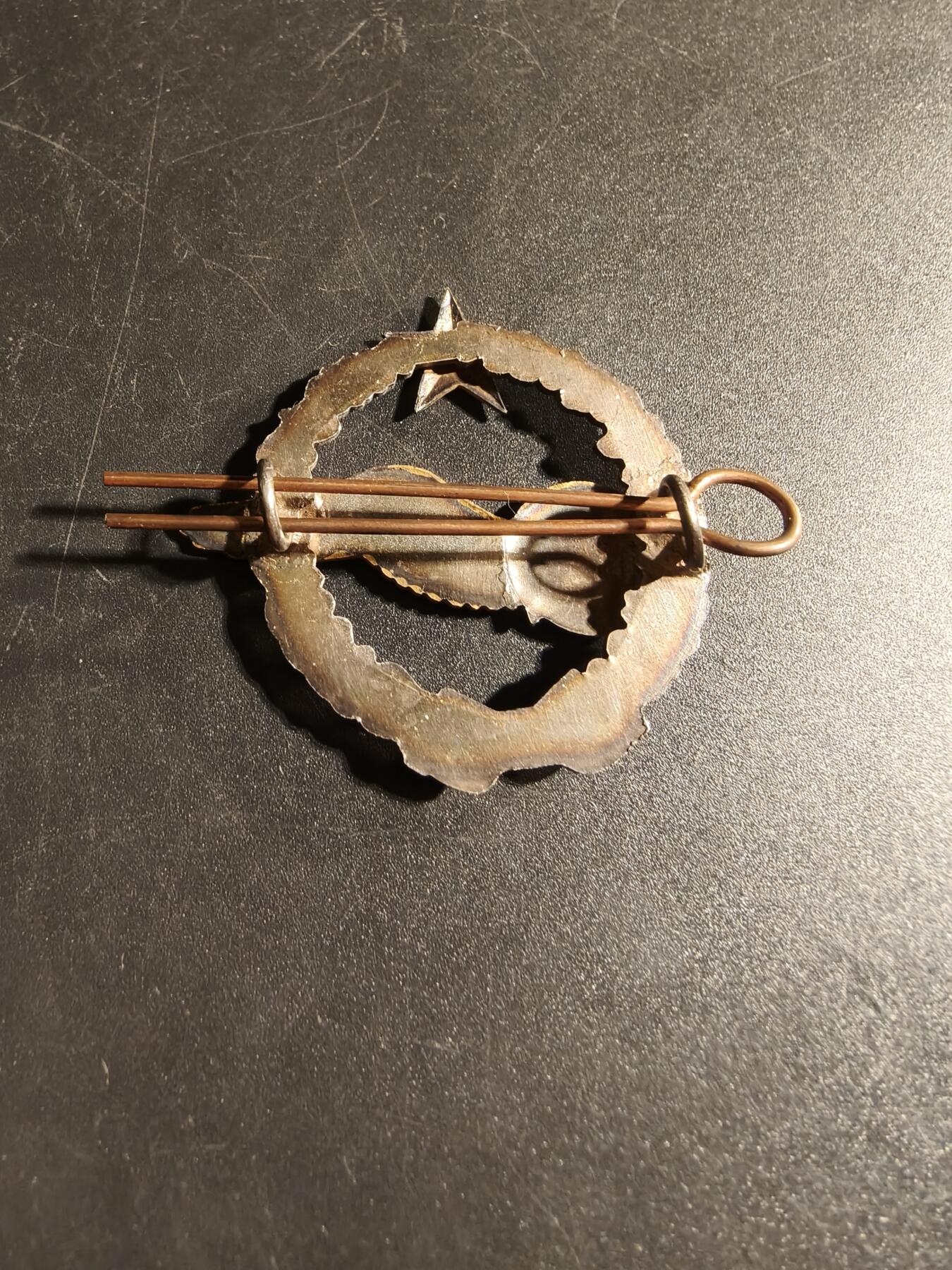 老王徽章第167期 法国空军领航员学员证章