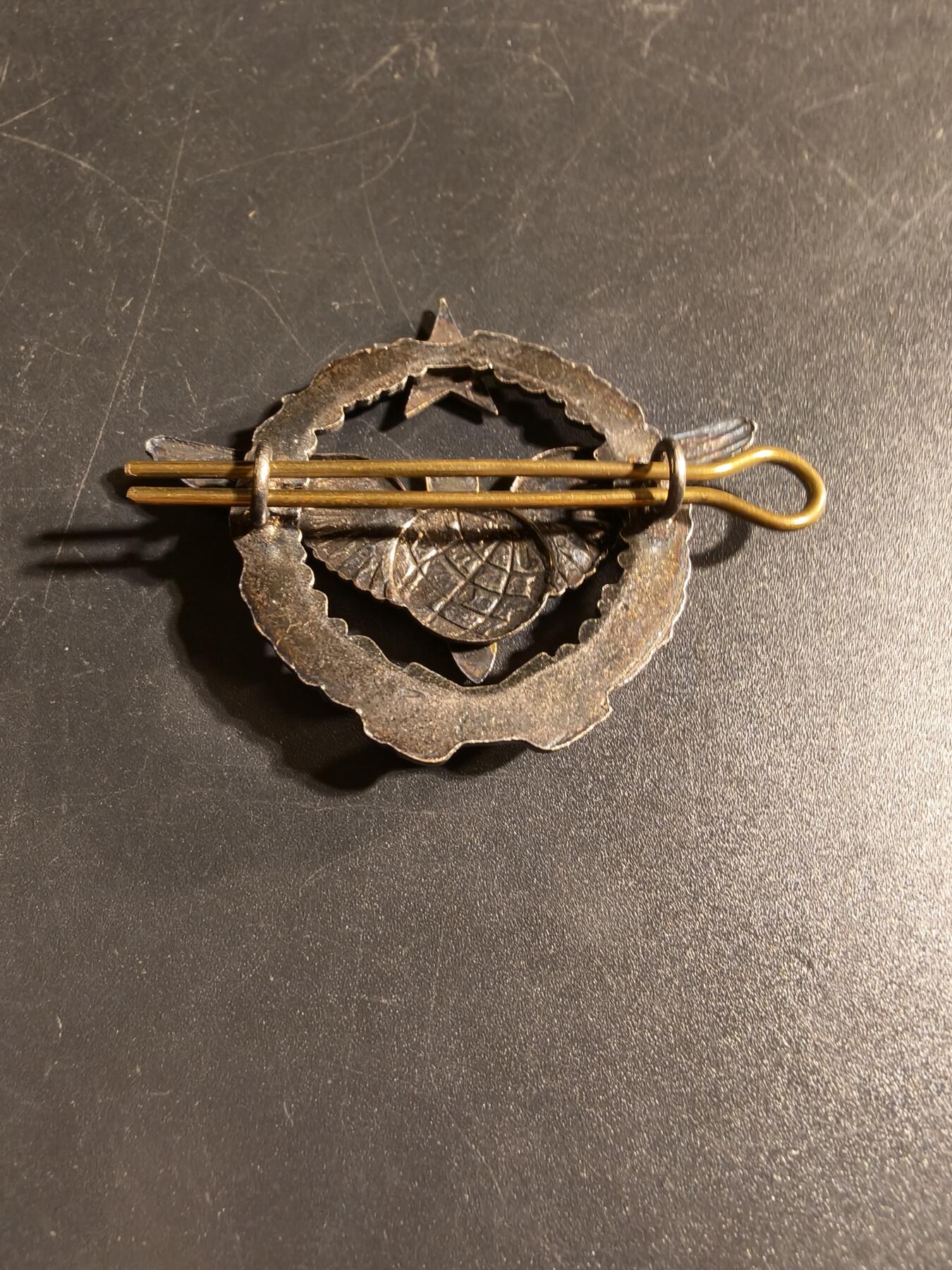 老王徽章第167期 法国空军投弹手证章