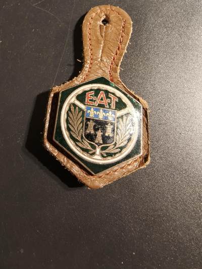 老王徽章第167期 - 法国通信兵专业学校证章