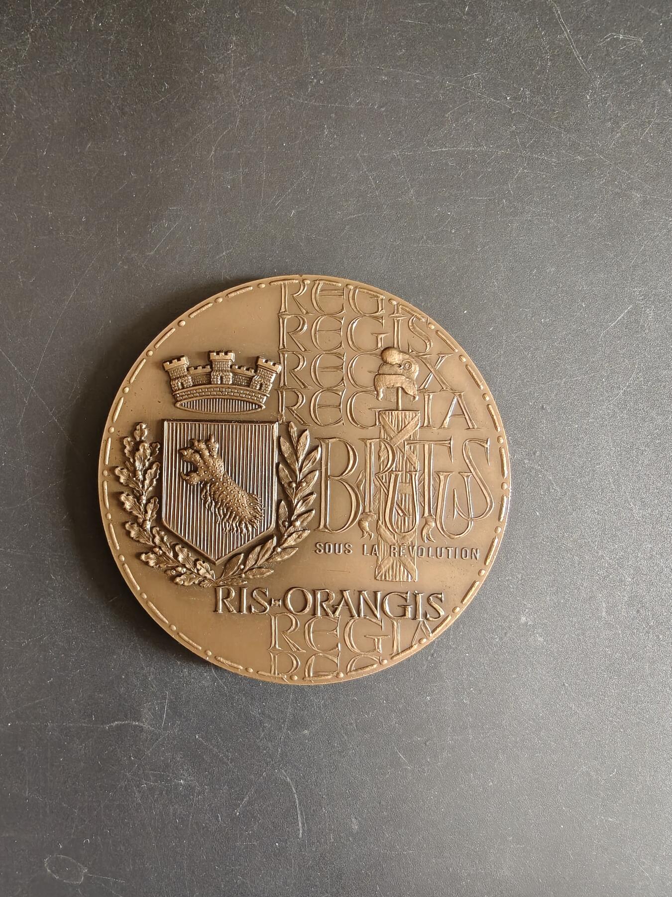老王徽章第167期 法国Ris-Orangis市家庭大铜章     直径72mm.    重量161.8g