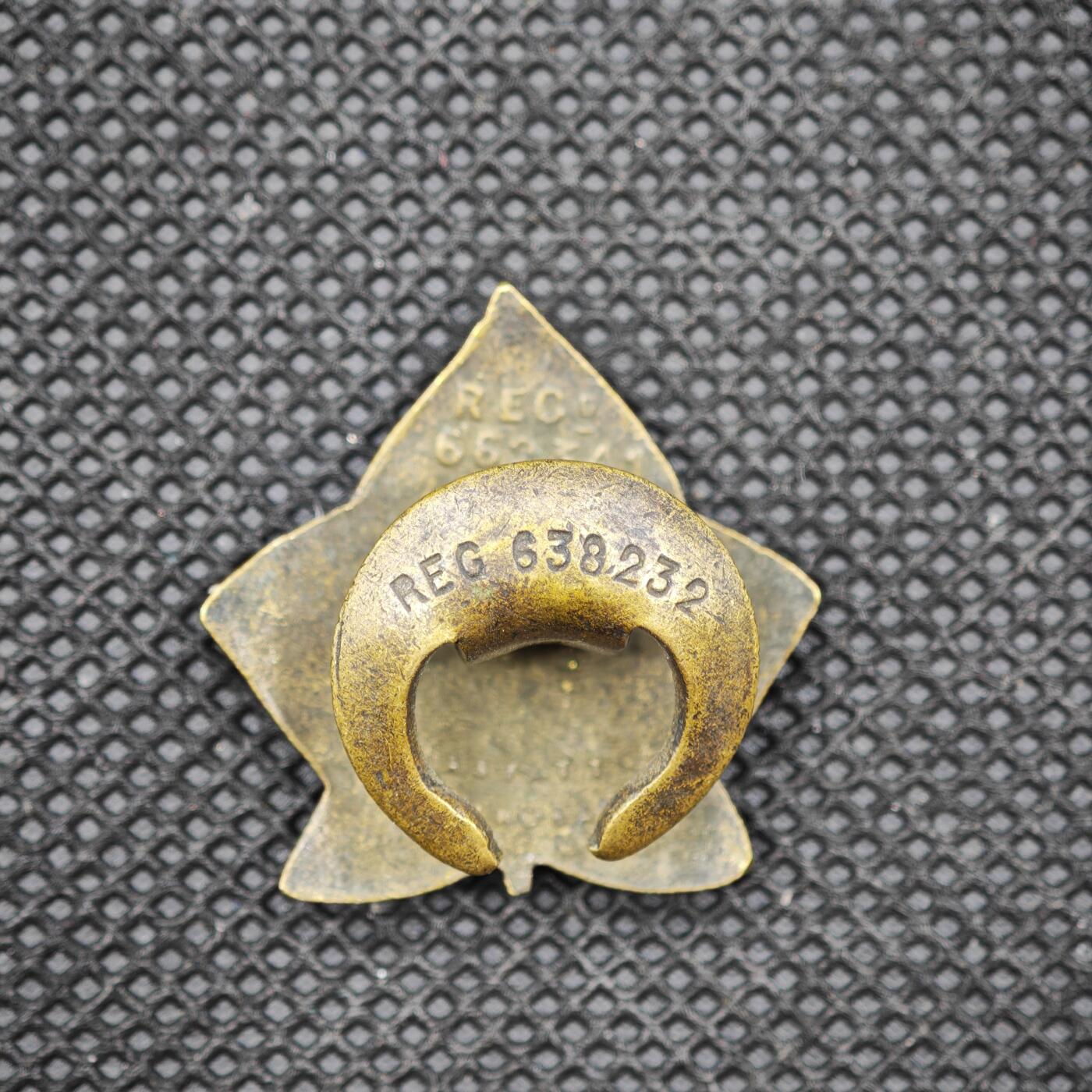 【淘币小摊】限时拍第八百一十六拍  纪念章场  满百包邮可预留两周  周一统一发货   英国残疾水手与士兵协会（D.S.&S.）会员徽章直径36mm