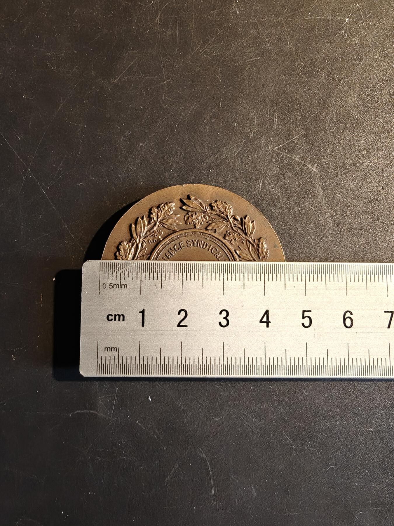 老王徽章第167期 法国工商业辛迪加联盟大铜章     大师里维特作品    直径46mm.     重量40g