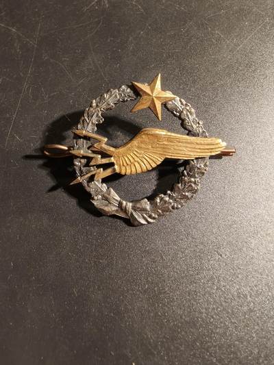 老王徽章第167期 - 法国空军无线电操作员学员证章