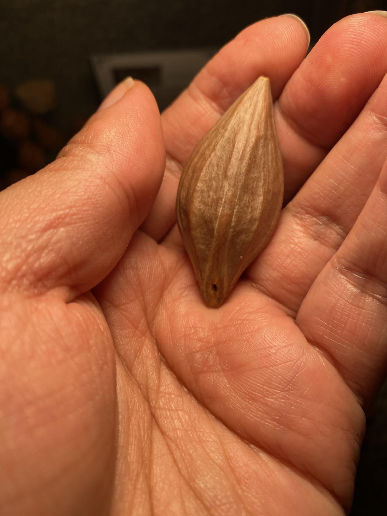 中国非物质文化遗产，苏工核雕 福利苏工核雕，纯手工雕刻，老苏工精品关二哥，个性十足，等待有缘人尺寸2。35x5.2喜欢的来