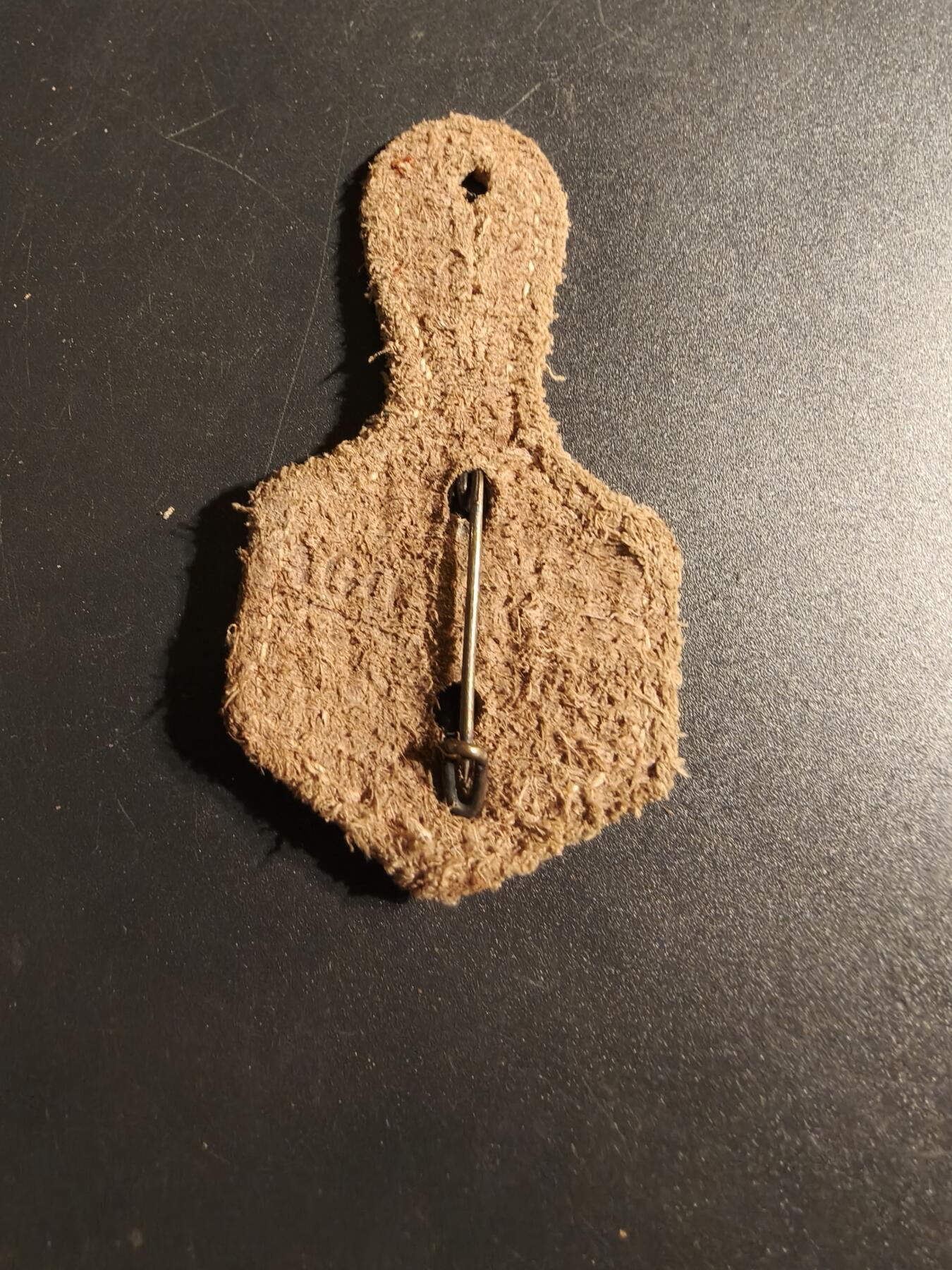 老王徽章第167期 法国通信兵专业学校证章