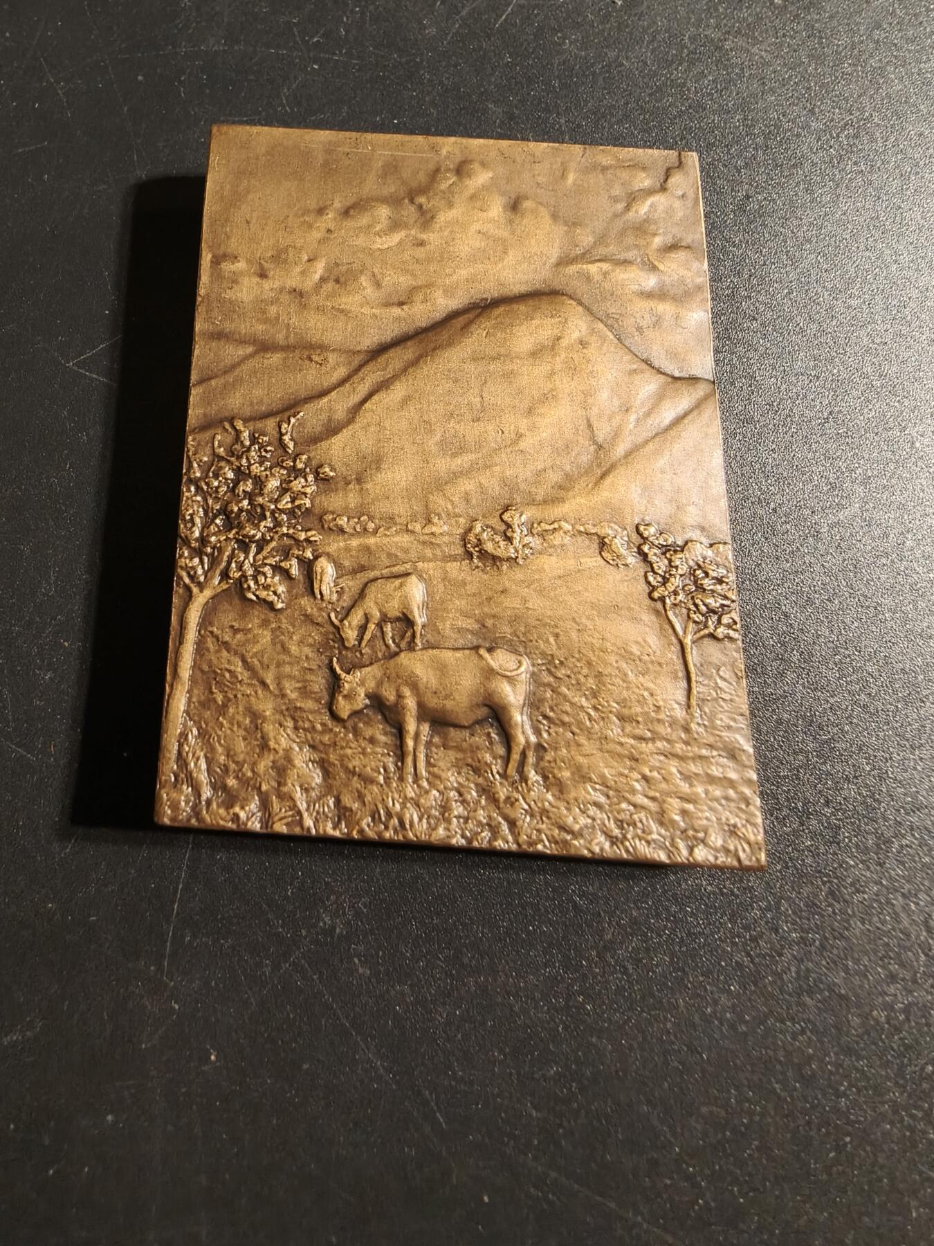 老王徽章第167期 法国奥浮涅传统女性方形大铜章     高浮雕     尺寸64×46mm.    重量118.4g