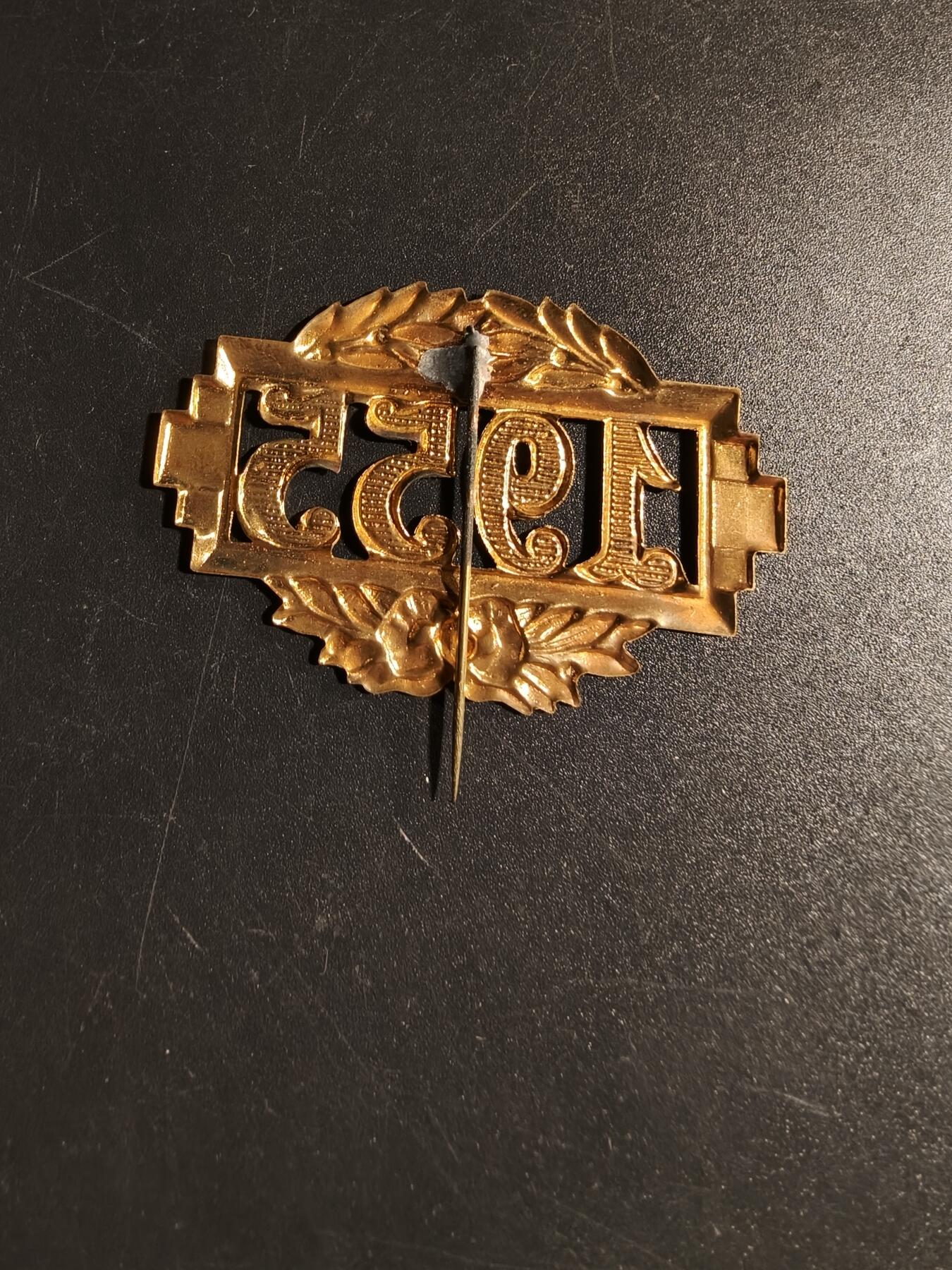 老王徽章第167期 法国1955字样针插