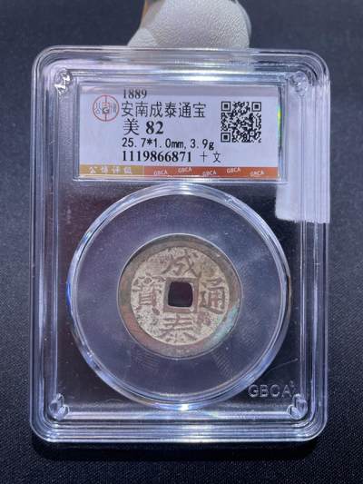 捡漏专场 - 安南成泰通宝