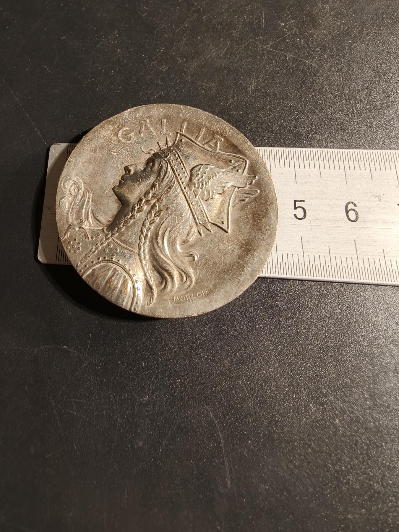 老王徽章第167期 法国高卢人镀银大铜章     大师莫隆作品    直径46mm.    重量41.7g