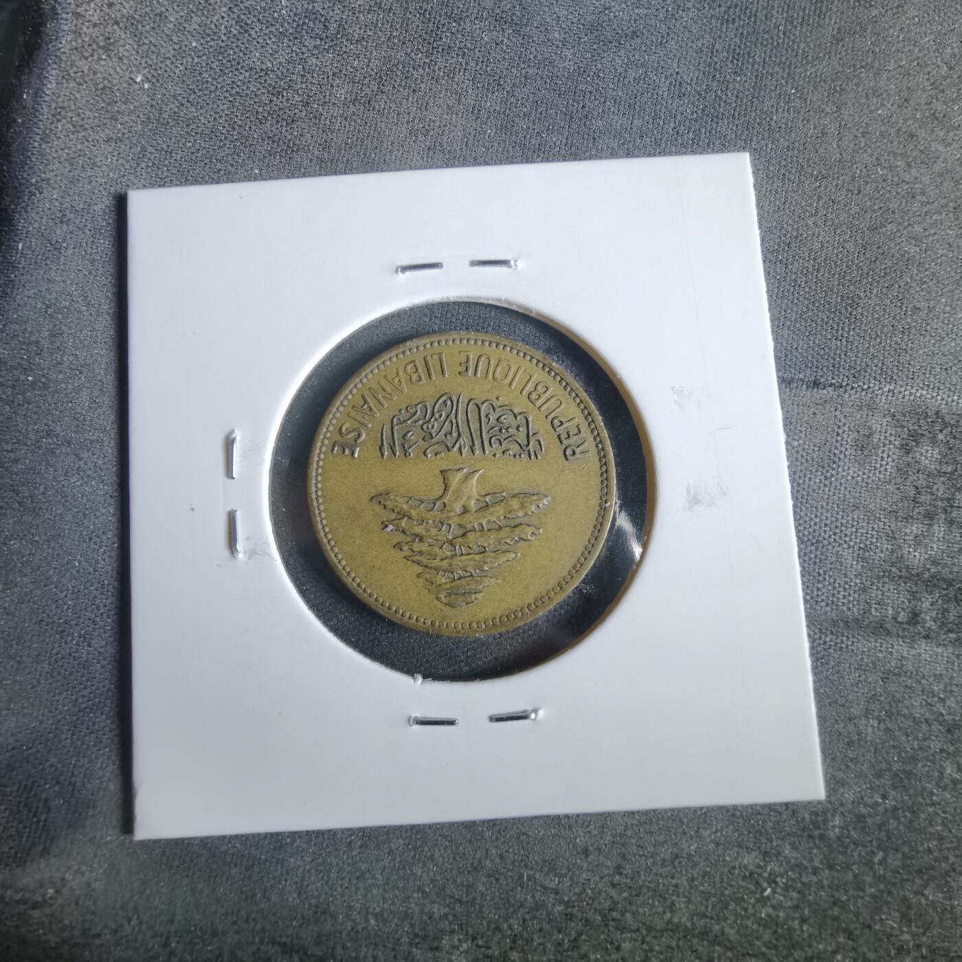 沼泽如烟--第919场