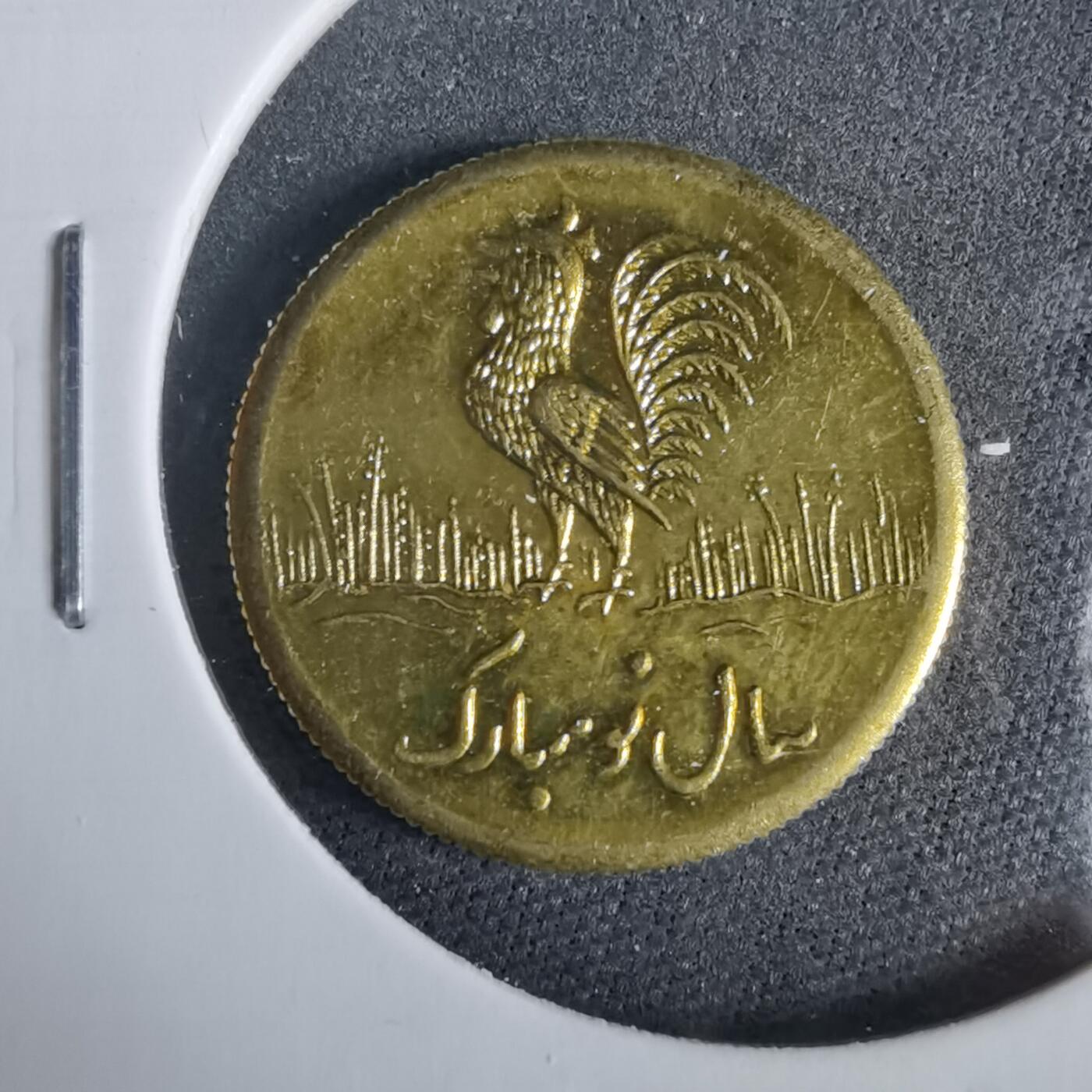 沼泽如烟--第919场