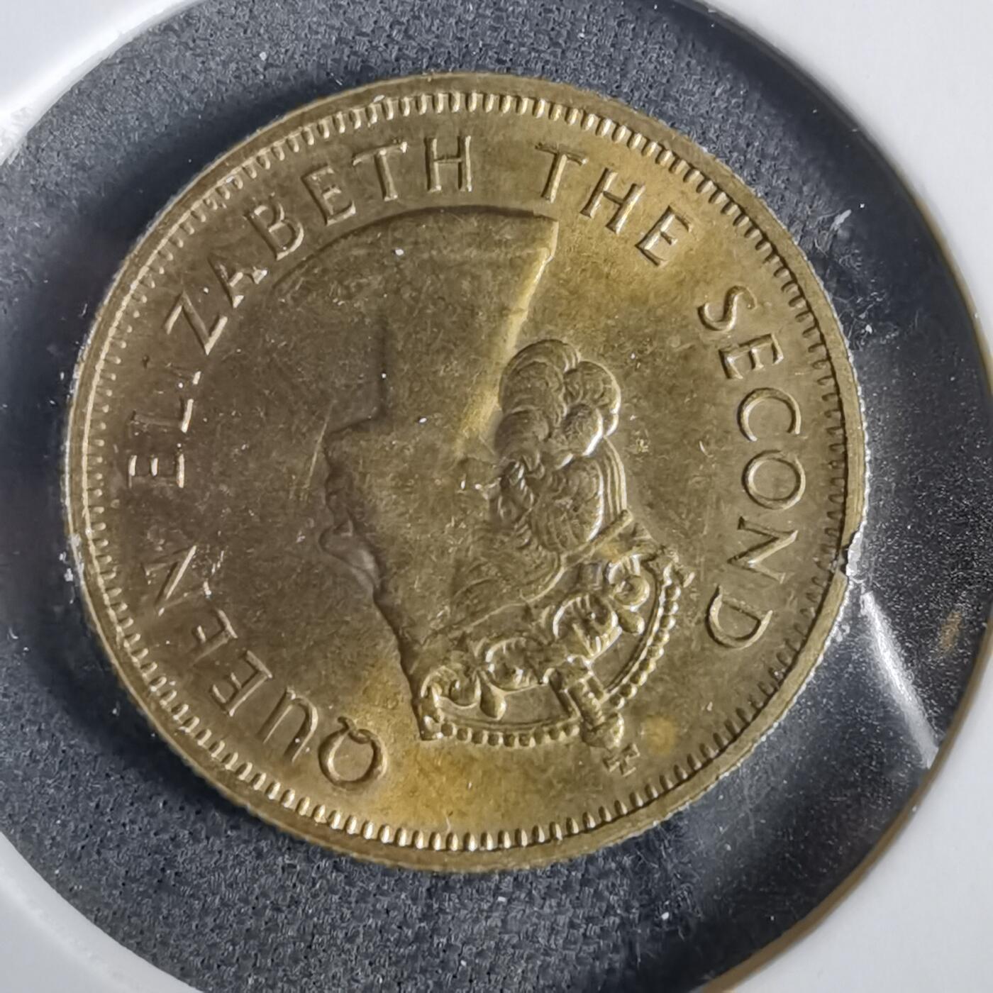 沼泽如烟--第919场