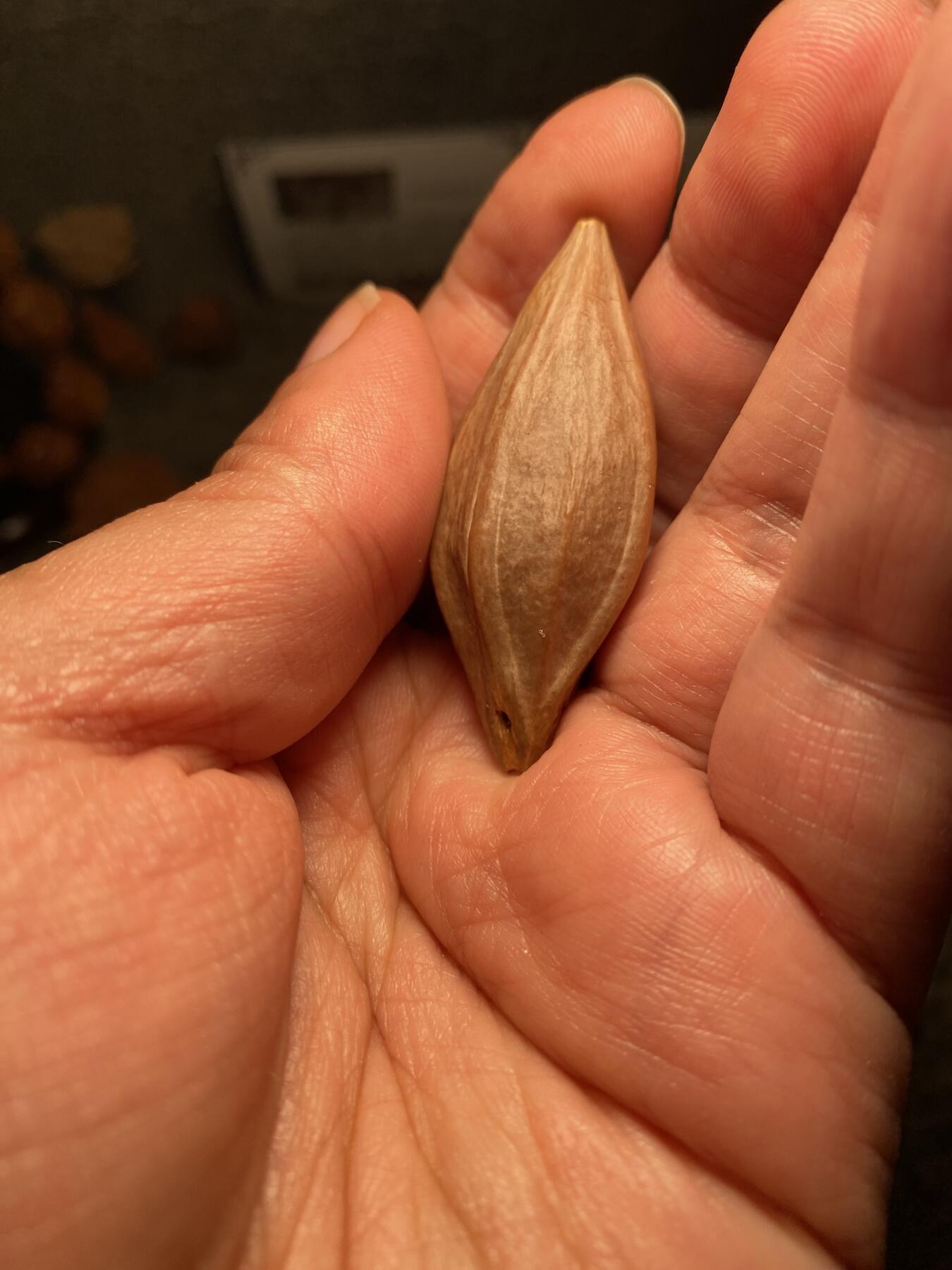 中国非物质文化遗产，苏工核雕 福利苏工核雕，纯手工雕刻，老苏工精品关二哥，个性十足，等待有缘人尺寸2。35x5.2喜欢的来