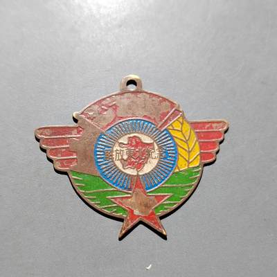 PCAI钱币30-628  杂項小专场 - 解放东北