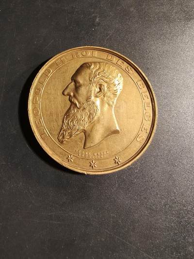 老王徽章第167期 - 比利时1897 年布鲁塞尔-特尔菲伦国际博览会镀金大铜章     正面为利奥波德二世国王头像     直径56mm.    重量73.3g