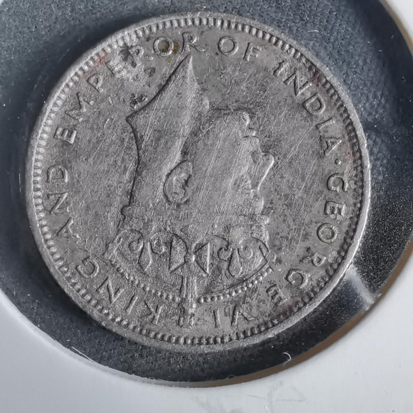 沼泽如烟--第919场