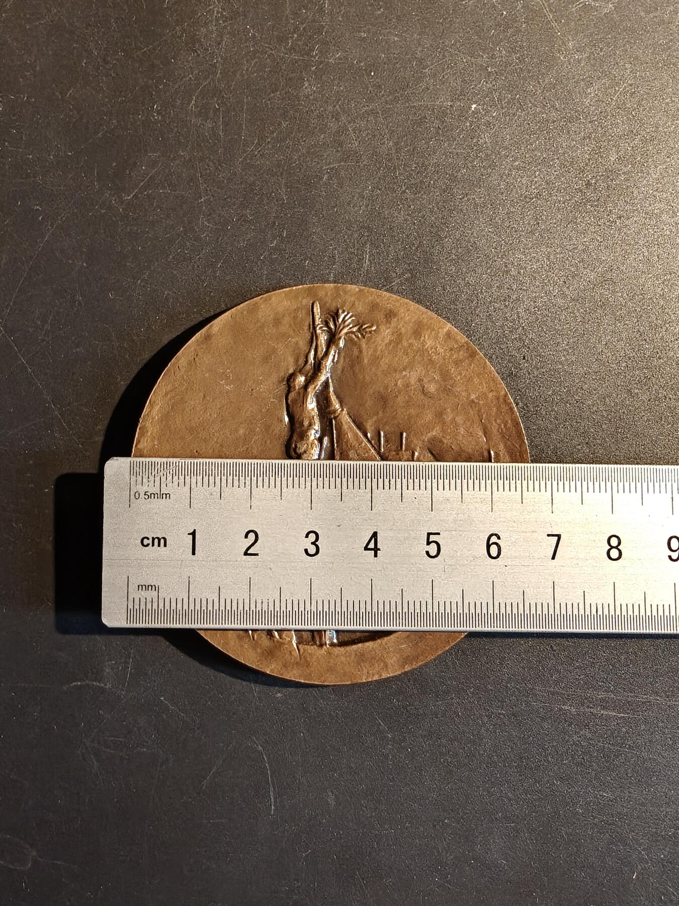 老王徽章第167期 法国国家不动产协会大铜章     直径68mm.     重量148.5g