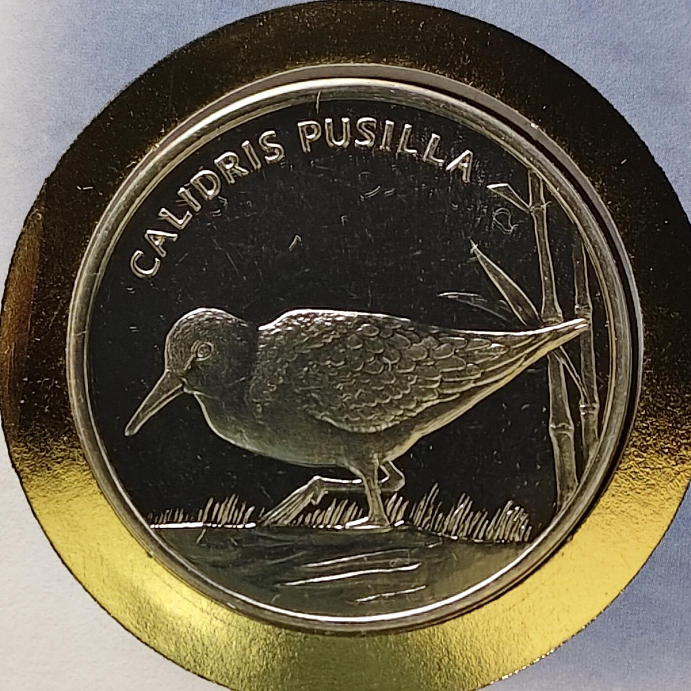 【全场包邮】纯粹捡漏拍482场（免费代拍第19场）-币封+套装+富兰克林（注意佣金） 【邮章封】WWF世界自然基金会半蹼滨鹬纪念邮章封