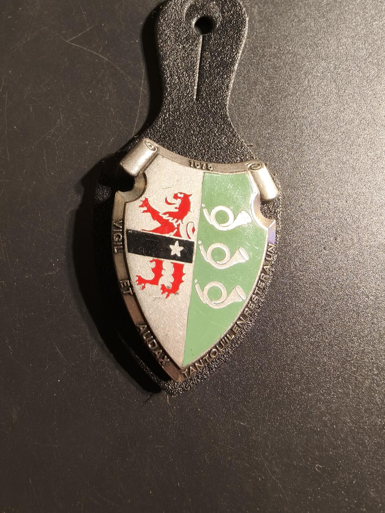 老王徽章第167期 比利时第3猎骑兵团证章