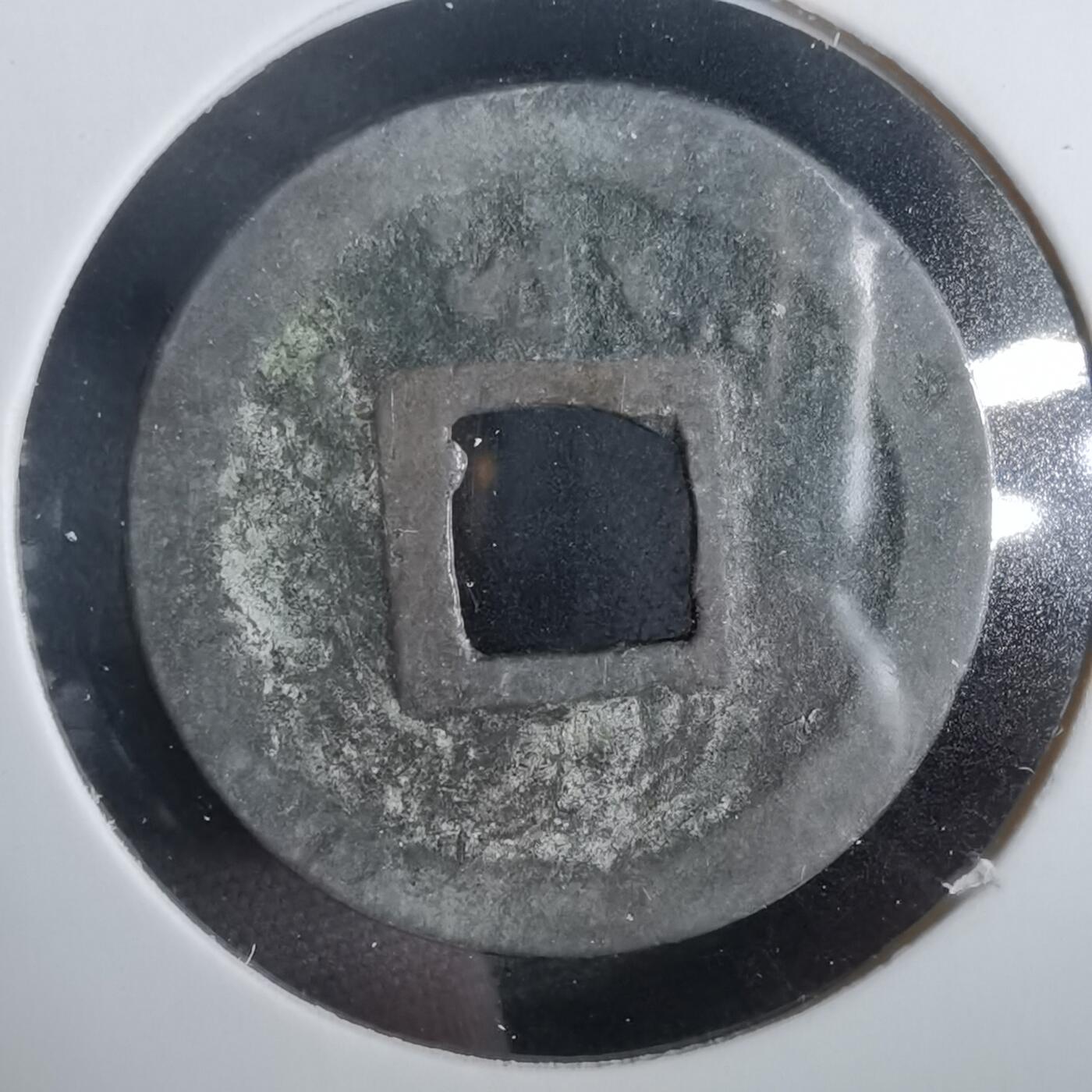 沼泽如烟--第919场