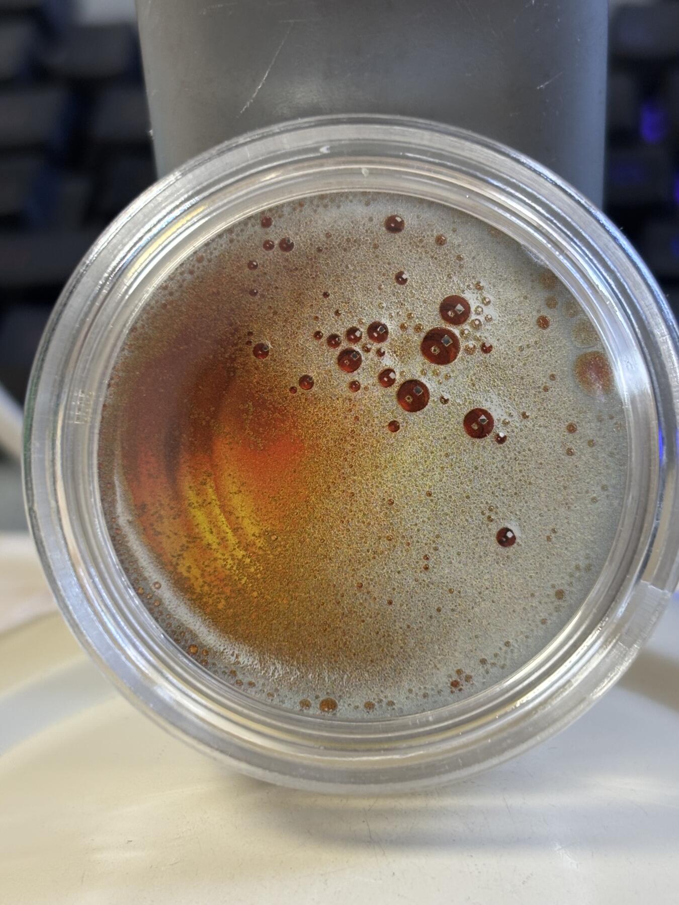 第184期拍卖 喀麦隆2022年皮尔森啤酒1盎司彩色精制纪念银币，999银，1盎司，