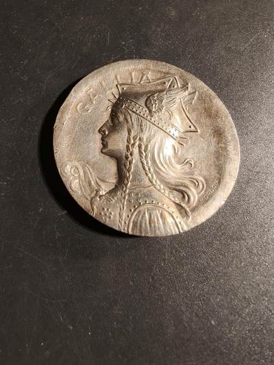 老王徽章第167期 - 法国高卢人镀银大铜章     大师莫隆作品    直径46mm.    重量41.7g