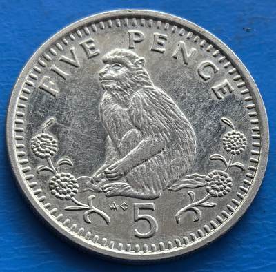 外国优质老铜币银币，周六九点倒数截拍，满百包邮，可寄存半年，喜欢朋友微信扫描二维码可直接参拍 - 直布罗陀5便士