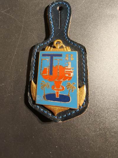 老王徽章第167期 - 法国第815通信团证章