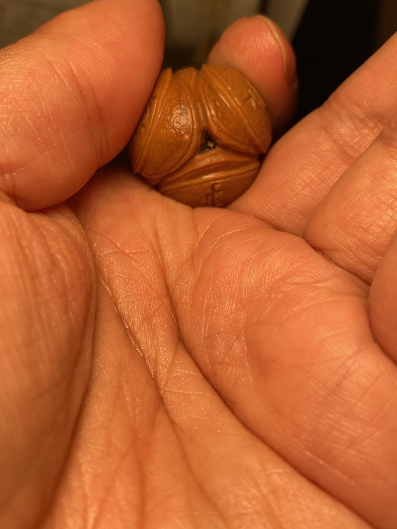 中国非物质文化遗产，苏工核雕 福利苏工核雕，纯手工雕刻，老苏工财源滚滚，个性十足，等待有缘人，市场无同款，尺寸2。5x2.5喜欢的来