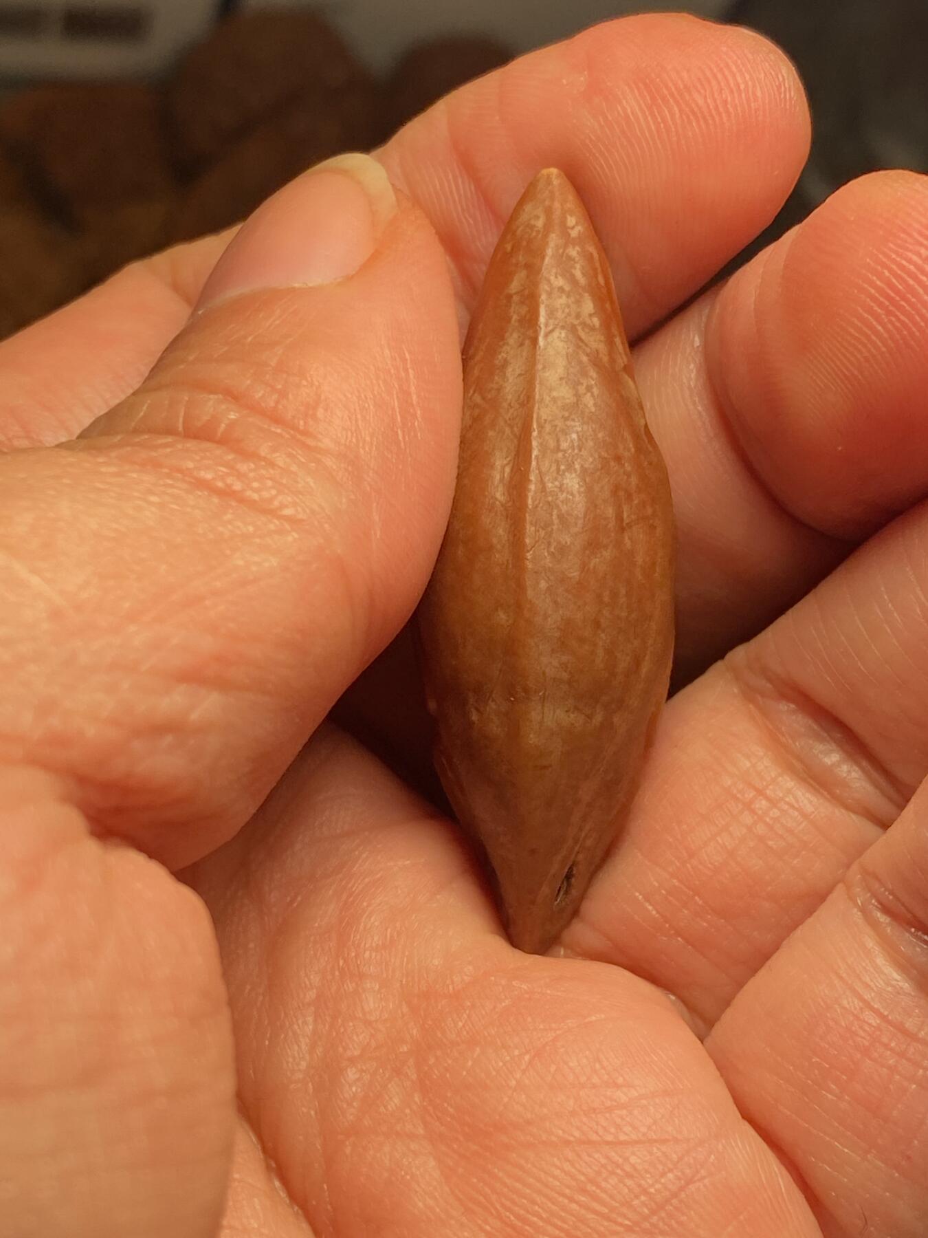 中国非物质文化遗产，苏工核雕 福利苏工核雕，纯手工雕刻，老苏工留刀痕关二哥个性十足，等待有缘人尺寸1。6x4.8喜欢的来