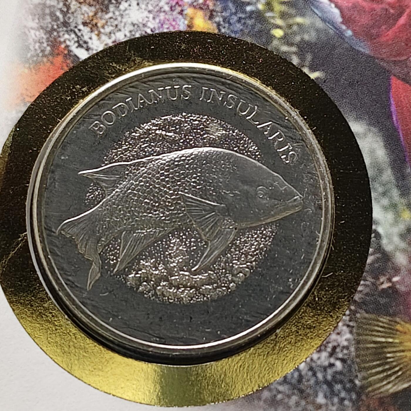 【全场包邮】纯粹捡漏拍482场（免费代拍第19场）-币封+套装+富兰克林（注意佣金） 【邮章封】WWF世界自然基金会1986年30周年‌尖鰭普提魚纪念邮章封