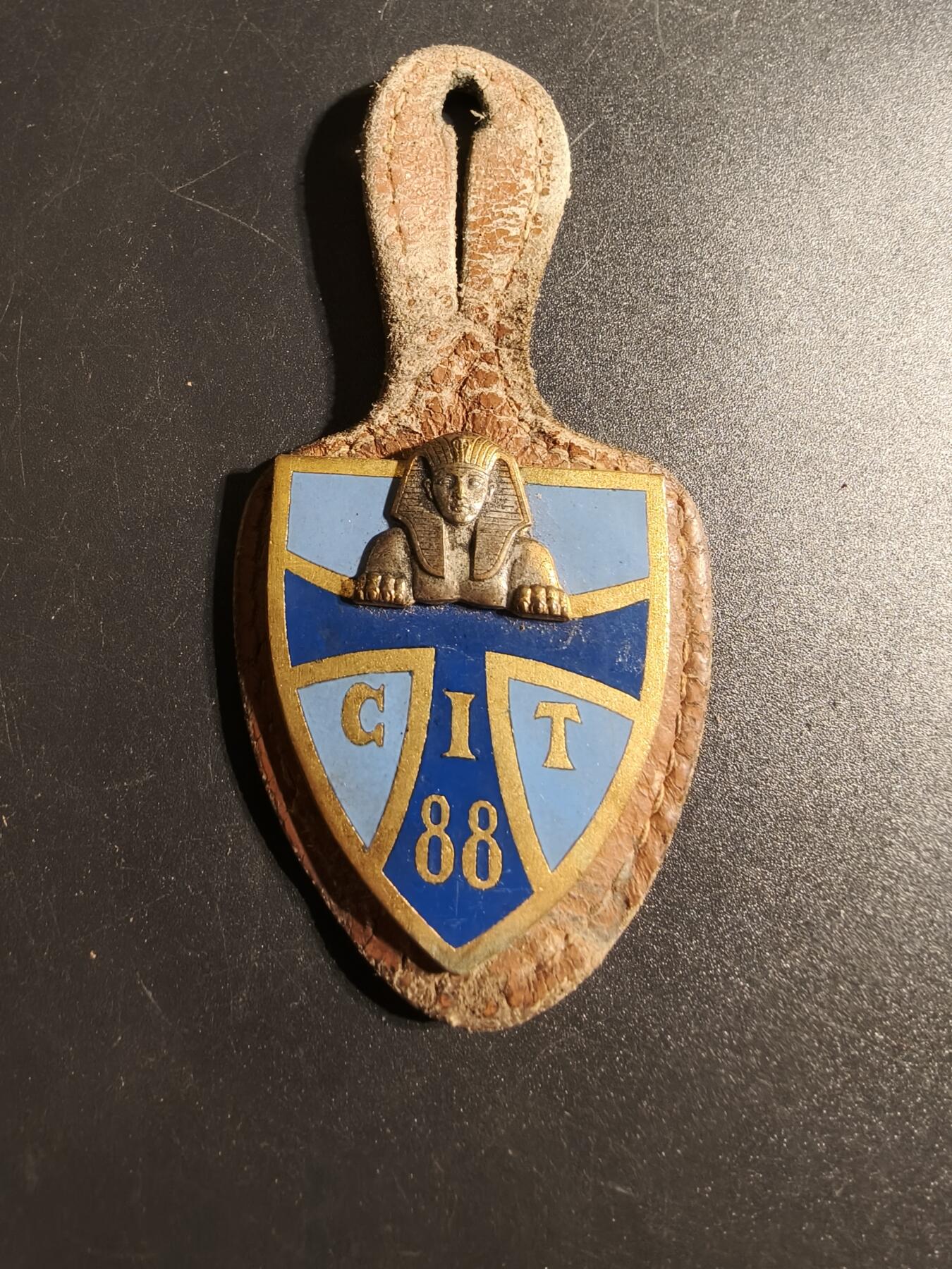 老王徽章第167期 法国第88通信连证章