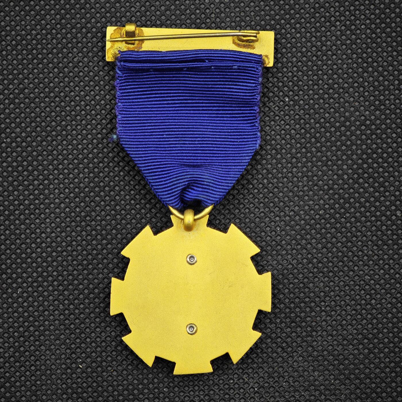 【淘币小摊】限时拍第八百一十六拍  纪念章场  满百包邮可预留两周  周一统一发货   英国特许保险学会（CII）前主席纪念奖章直径36mm