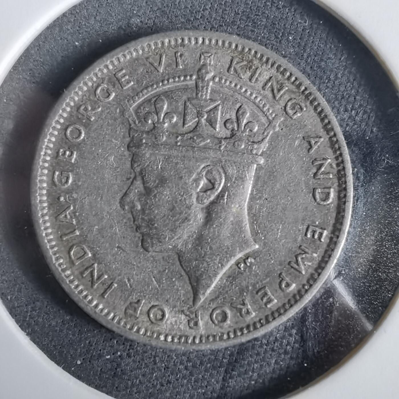 沼泽如烟--第919场