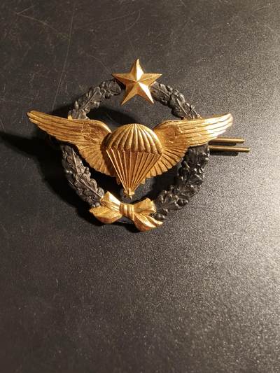 老王徽章第167期 - 法国空军试飞跳伞员证章