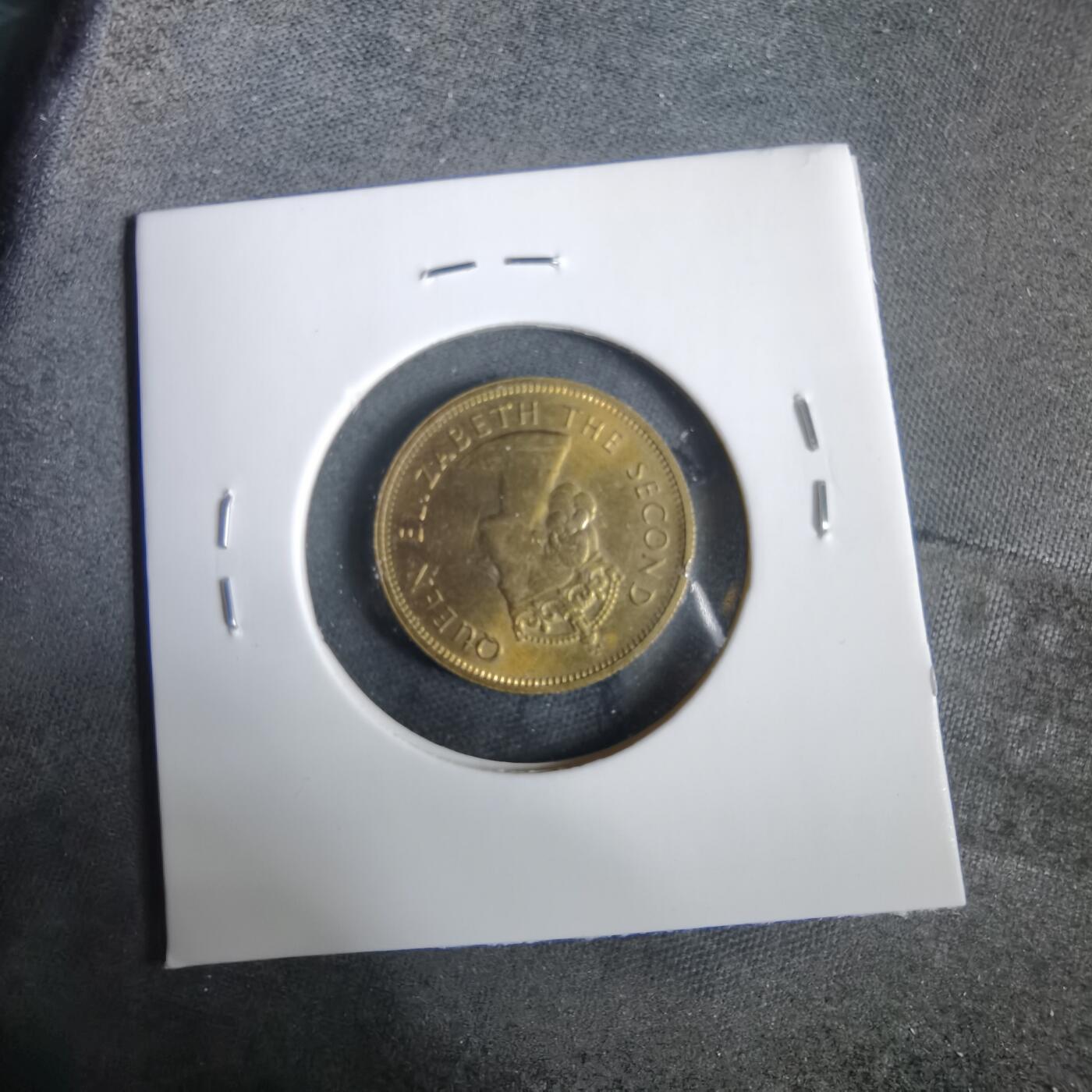 沼泽如烟--第919场