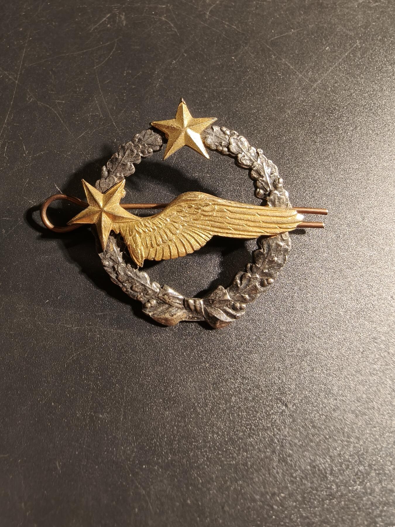 老王徽章第167期 法国空军飞行员学员证章